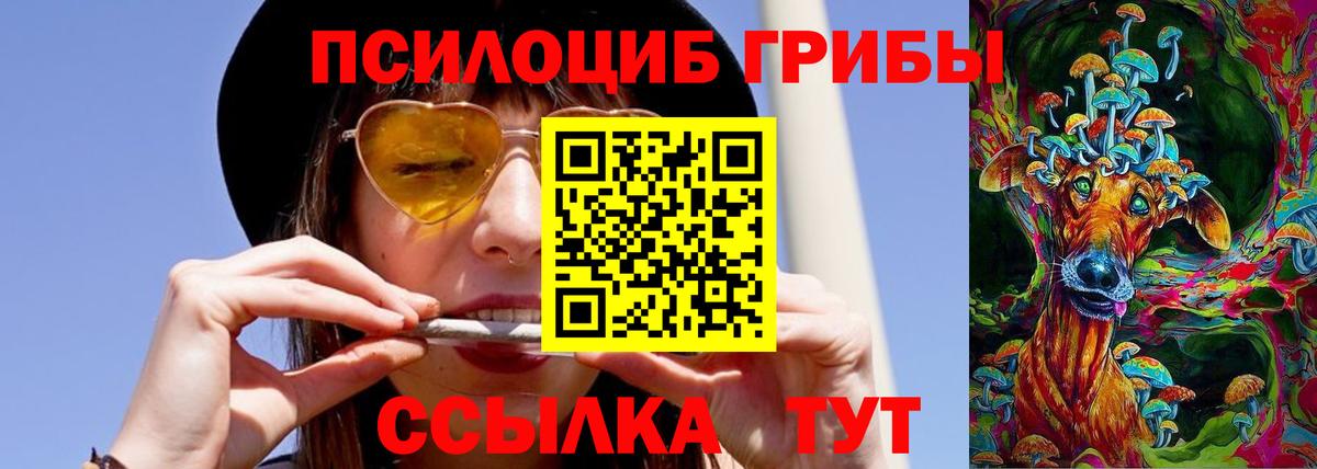 Псилоцибиновые грибы Psilocybine cubensis  Вход с VPN  Бутурлиновка 